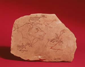 Ostrakon描绘了狮子和四只鹌鹑的头部，可能来自底比斯，19-20世纪（绘石灰石）